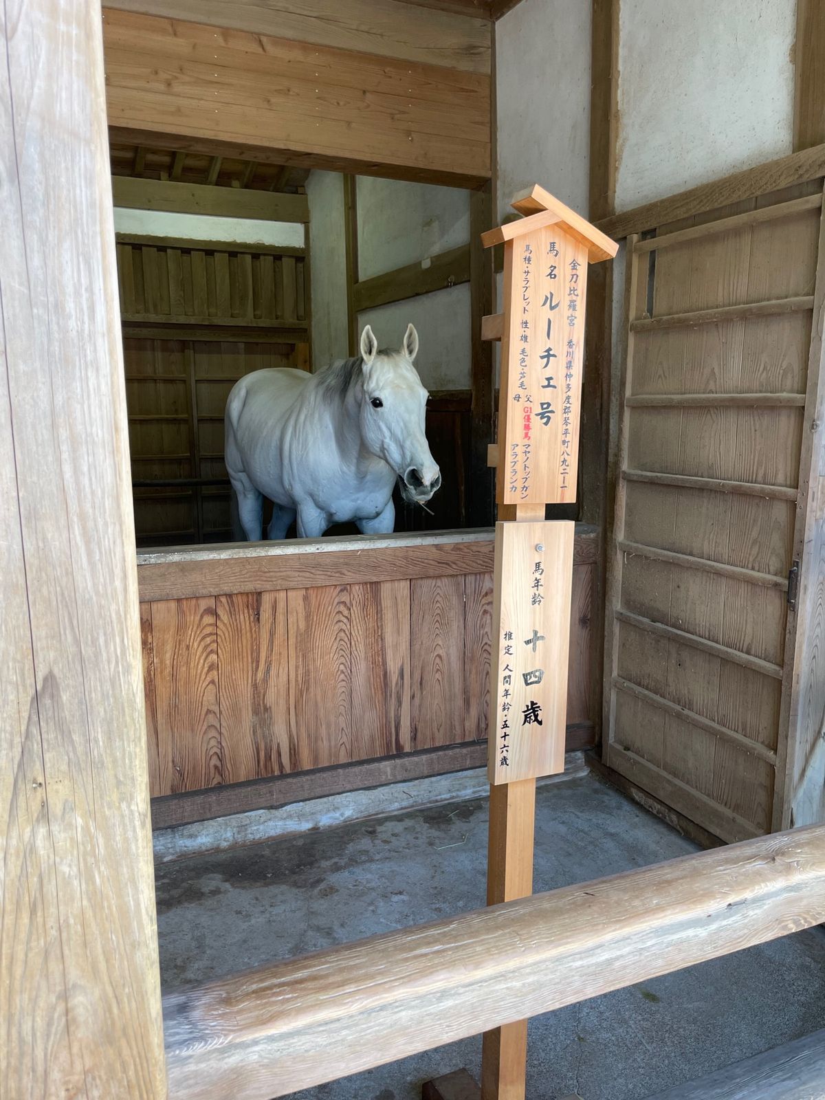 金刀比羅宮⛩️