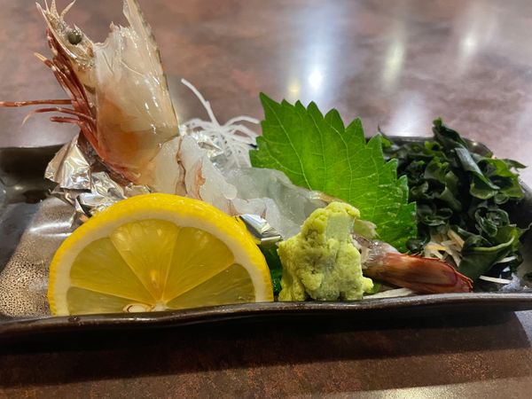 日本・香川「香川県1人旅」の写真：北島商店