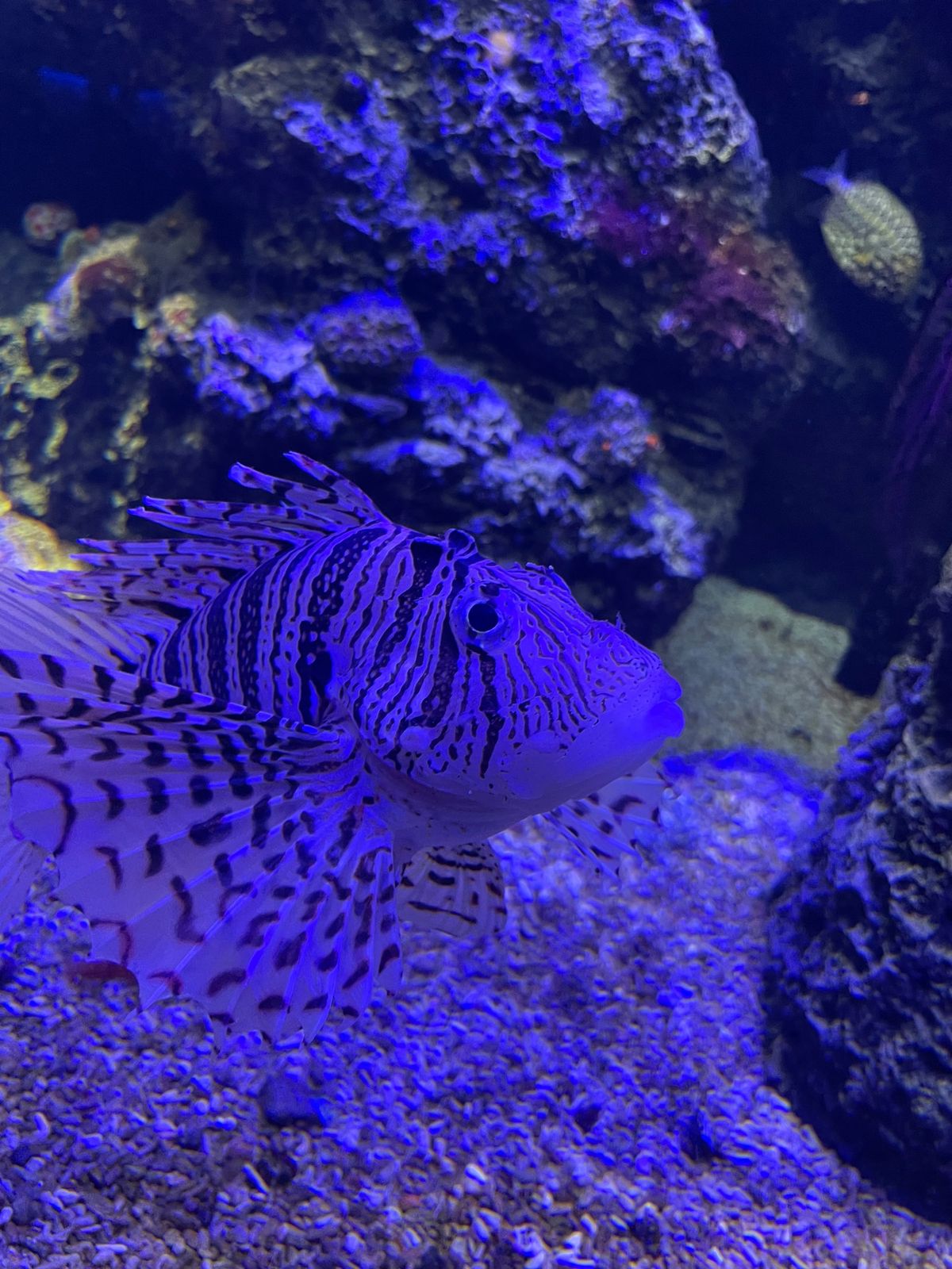 四国水族館🦭🐟