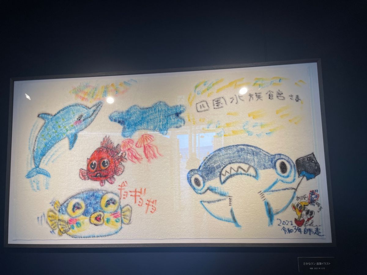 四国水族館🦭🐟