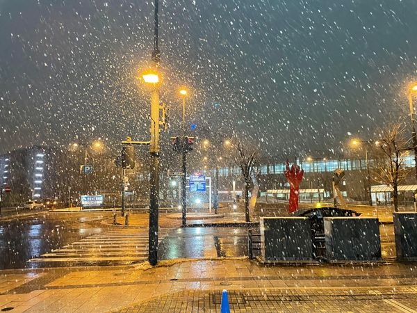 日本・北海道「帯広旅行」の写真：最終日は大雪
とかち帯広空港から帰ります