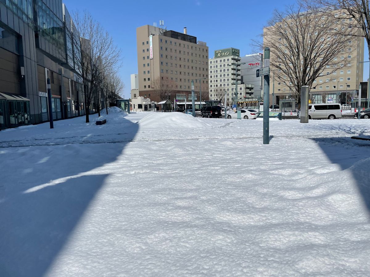 最終日は大雪
とかち帯広空港から帰ります