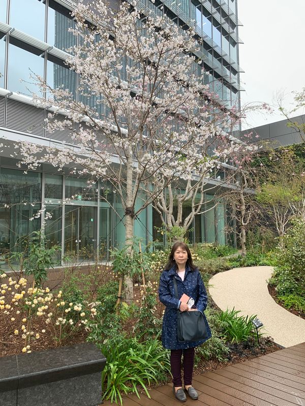 日本「退職直前ぷらっと東京」の写真