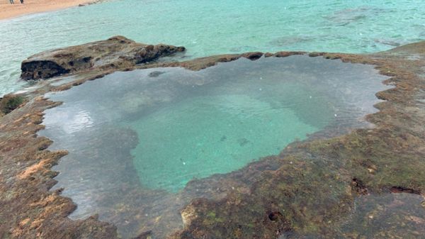 日本・鹿児島県「奄美大島」の写真