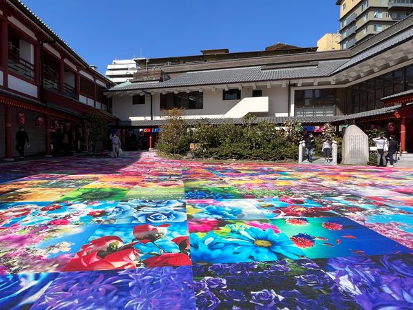 日本・松山「愛媛旅✈︎」の写真
