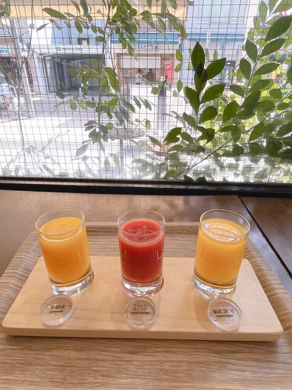 日本・松山「愛媛旅✈︎」の写真