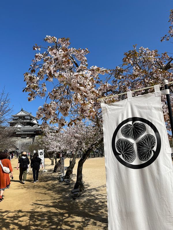日本・松山「愛媛旅✈︎」の写真