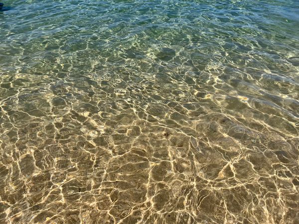 日本・福井県「福井海水浴」の写真