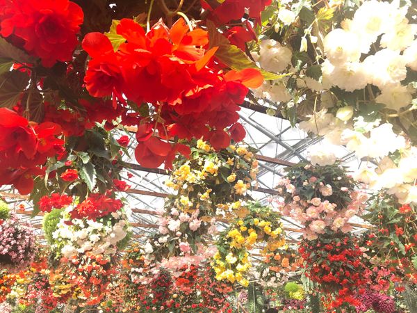 日本・島根県「島根県」の写真