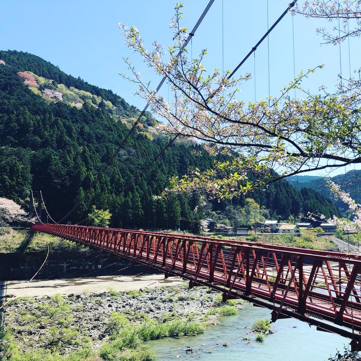 千本桜が有名な秋葉ダムに。
桜のピークは過ぎていたけど、絵になる風景だった。