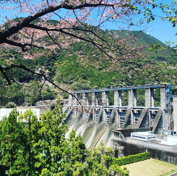 日本・静岡「ダムを求めて〜静岡県 秋葉ダム〜」の写真：千本桜が有名な秋葉ダムに。
桜のピークは...
