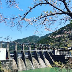 千本桜が有名な秋葉ダムに。
桜のピークは過ぎていたけど、絵になる風景だった。