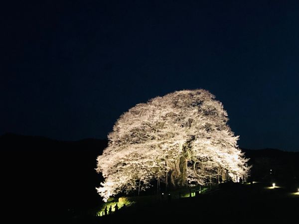 日本・岡山県「岡山県」の写真
