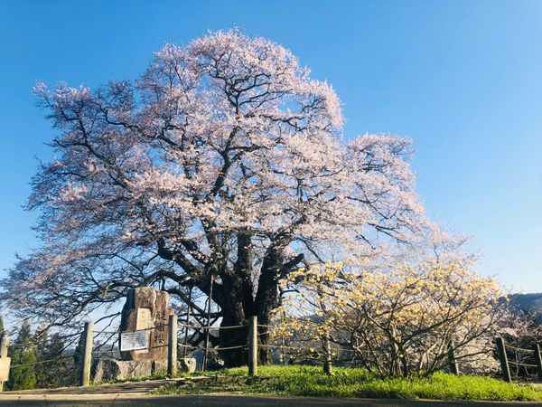 日本・岡山県「岡山県」の写真