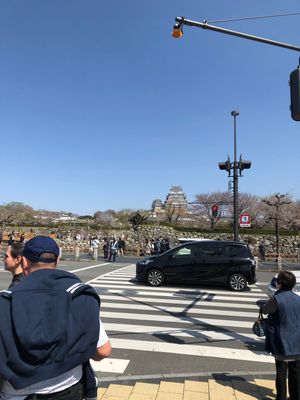 桜の時期の姫路城