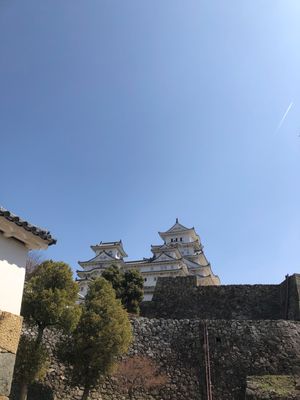 桜の時期の姫路城