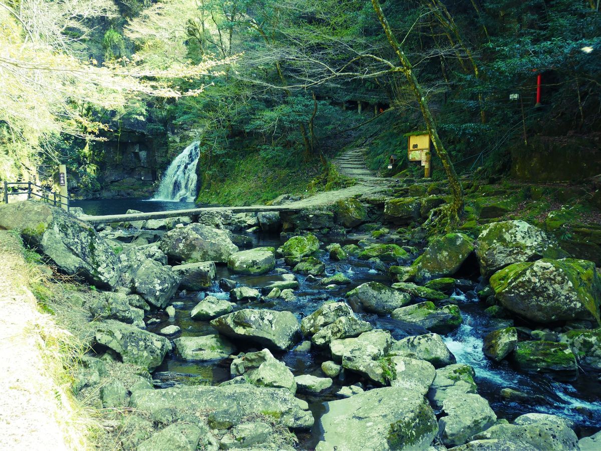 曽爾高原&赤目四十八滝