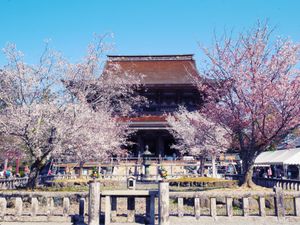 吉野山🌸