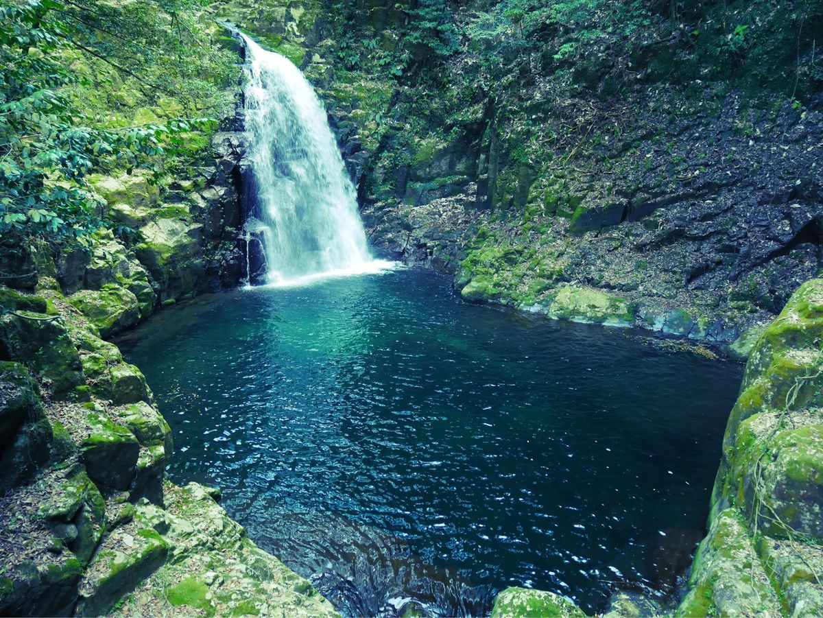 曽爾高原&赤目四十八滝