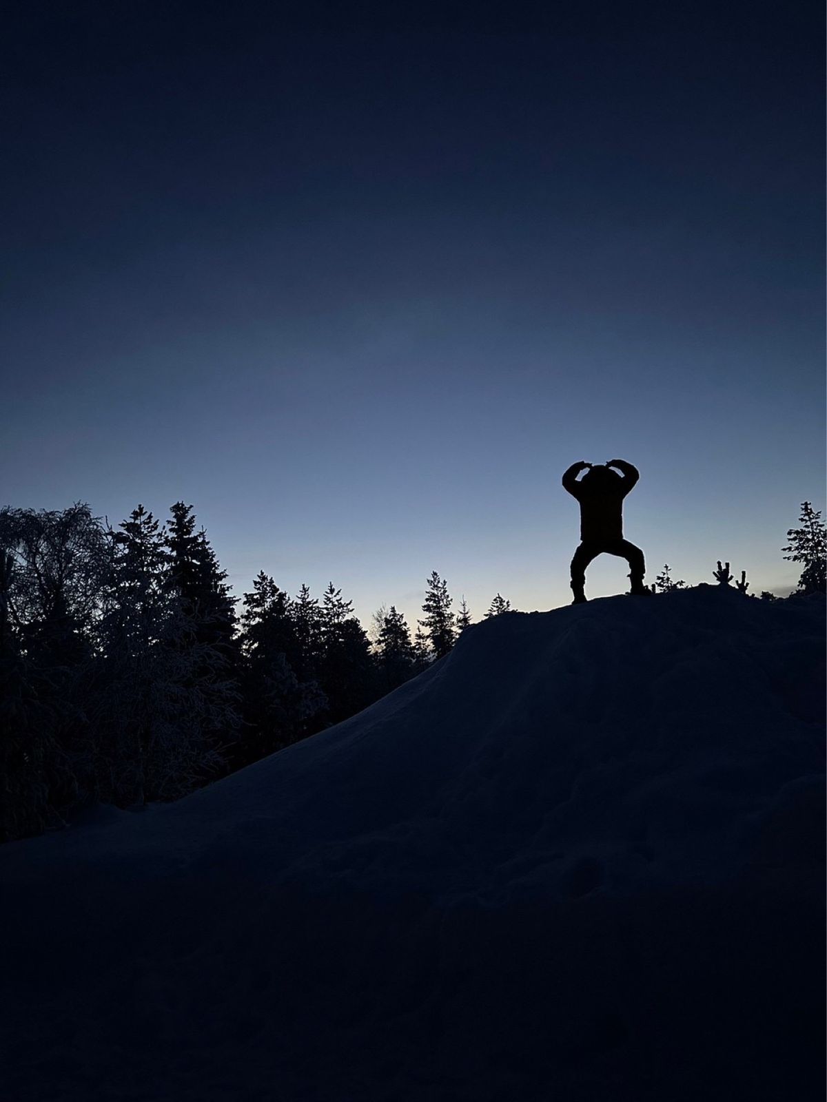 グレートサイヤマン！w