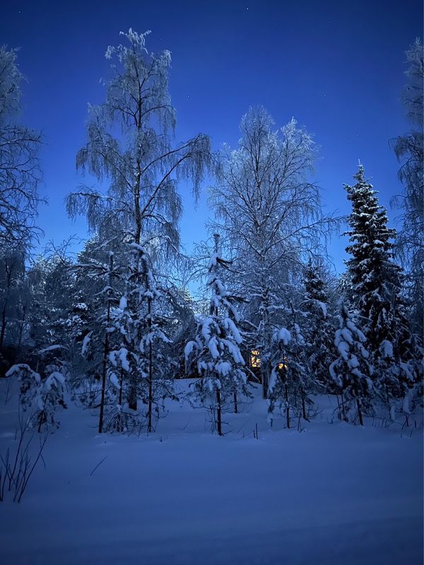 フィンランド・ヘルシンキ「Finland🇫🇮」の写真