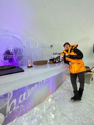 ①ファームでオーロラ
②ロバニエミのサンタクロース村のIce Bar
③カ...