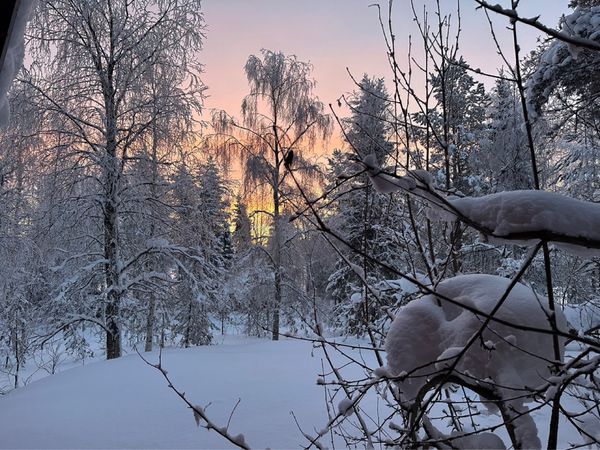 フィンランド・ヘルシンキ「Finland🇫🇮」の写真