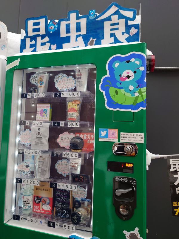 日本・北海道「札幌雪まつり」の写真：時代は食虫？w