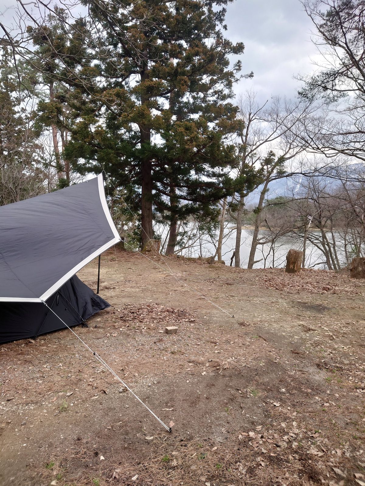 muracoのテントとタープ。
うん、いい！