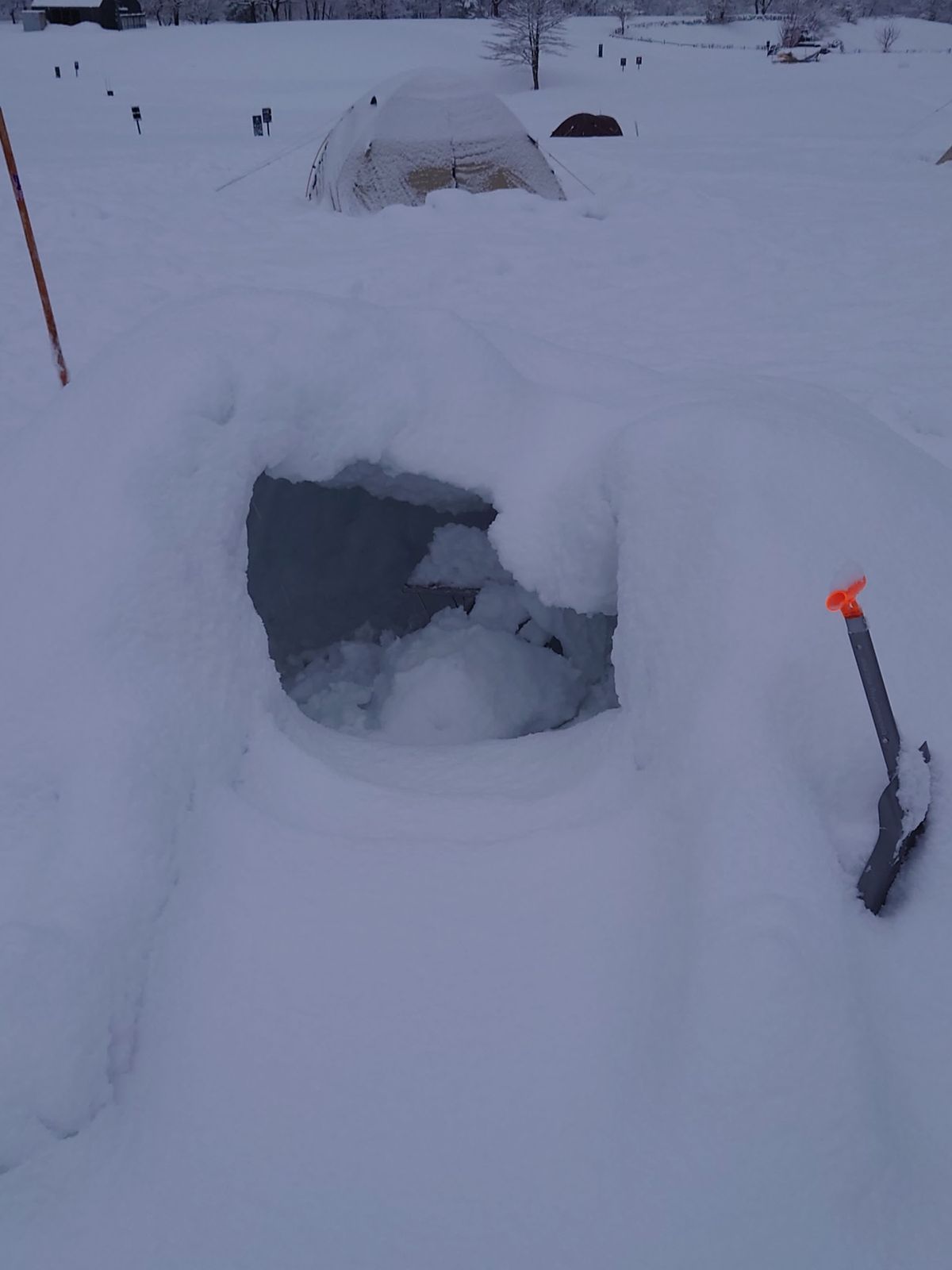朝起きたら崩壊してた😢