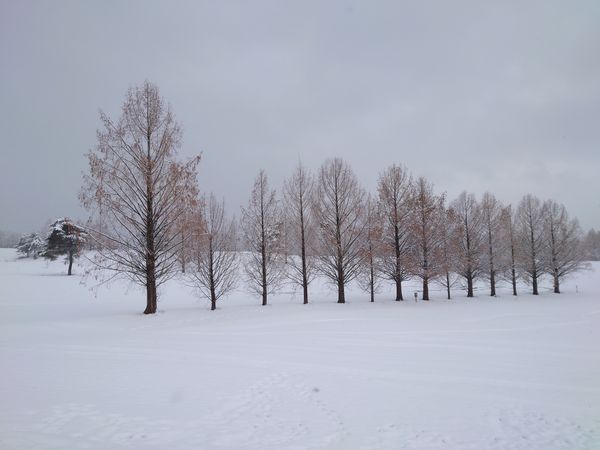 日本・新潟県「'22-'23 年越しキャンプin 新潟」の写真