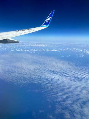 青い空と青い海
飛行機見るだけでもテンション上がる
