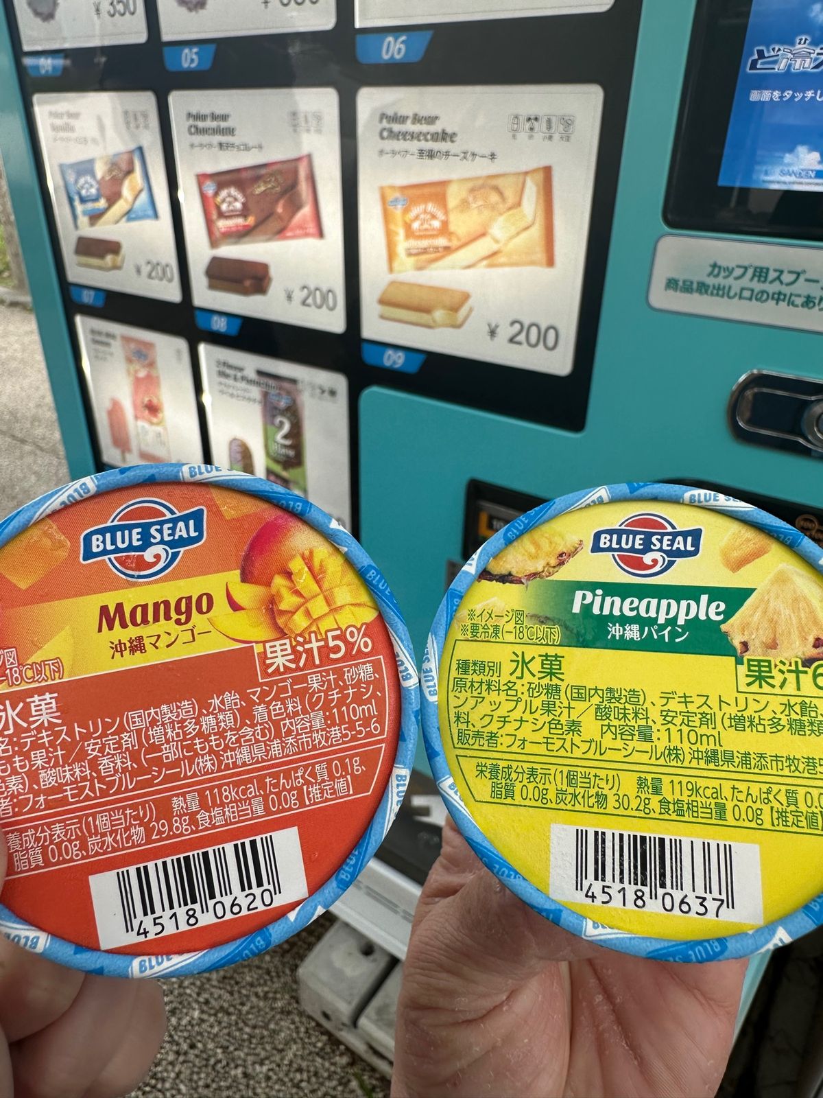 美ら海水族館の周りは大きな公園なので日帰りで行くには忙しすぎた
レンタカー...