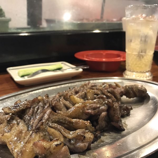 日本・京都府「西日本巡り一人旅(新幹線、在来線、フェリー、飛行機)」の写真