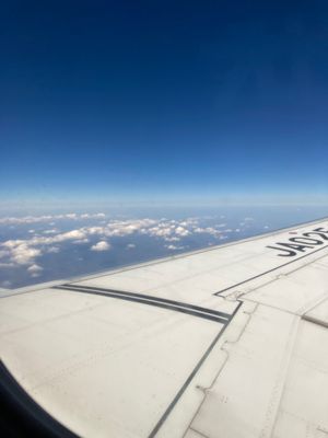 名古屋空港から福岡国際空港へ
ひとりで飛行機乗りました！
