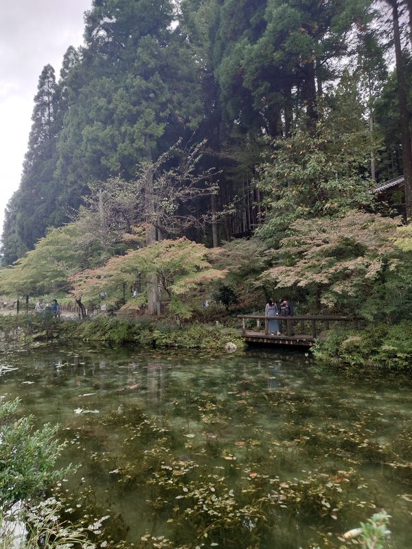 日本・岐阜県「秋キャンプ in 板取」の写真
