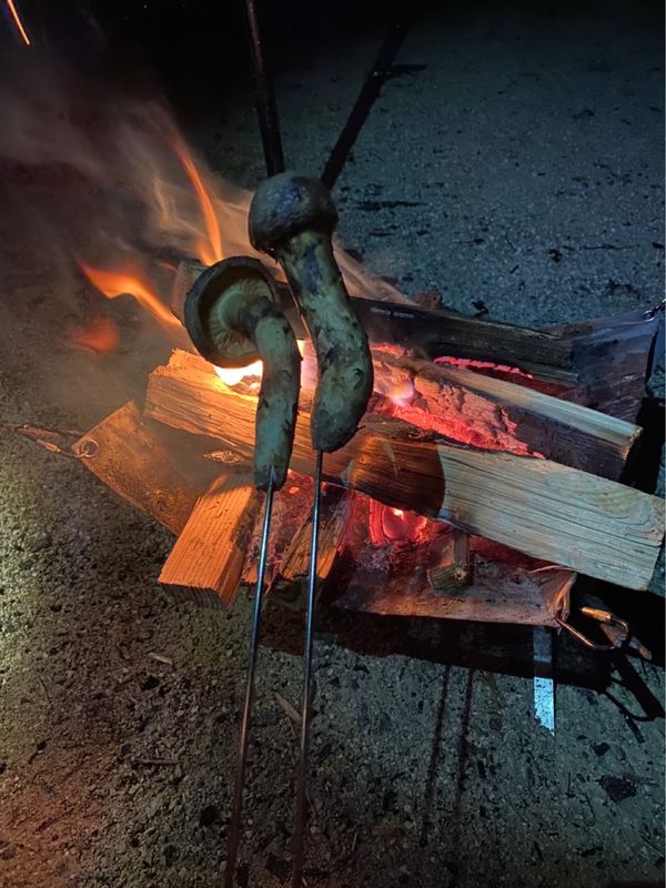 日本・岐阜県「秋キャンプ in 板取」の写真