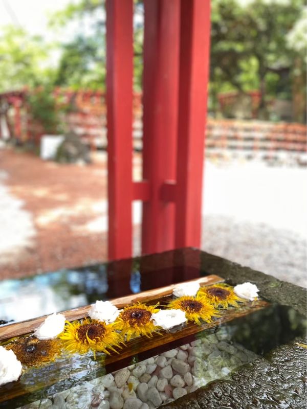 日本・兼六園「日本三大庭園制覇旅 in 金沢」の写真