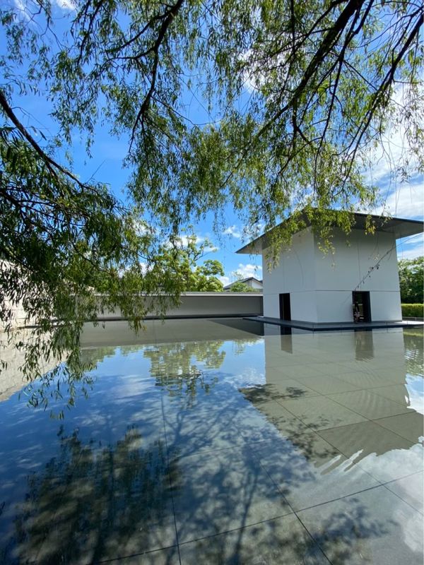 日本・兼六園「日本三大庭園制覇旅 in 金沢」の写真