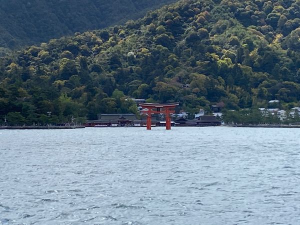 日本・香川県「久々青春18きっぷの旅！3年ぶり広島」の写真：ずっと続けてる教科書に載っているものを直...