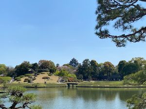 岡山に着いて後楽園。
都会に住んでいたら非日常な庭園文化に触れました。