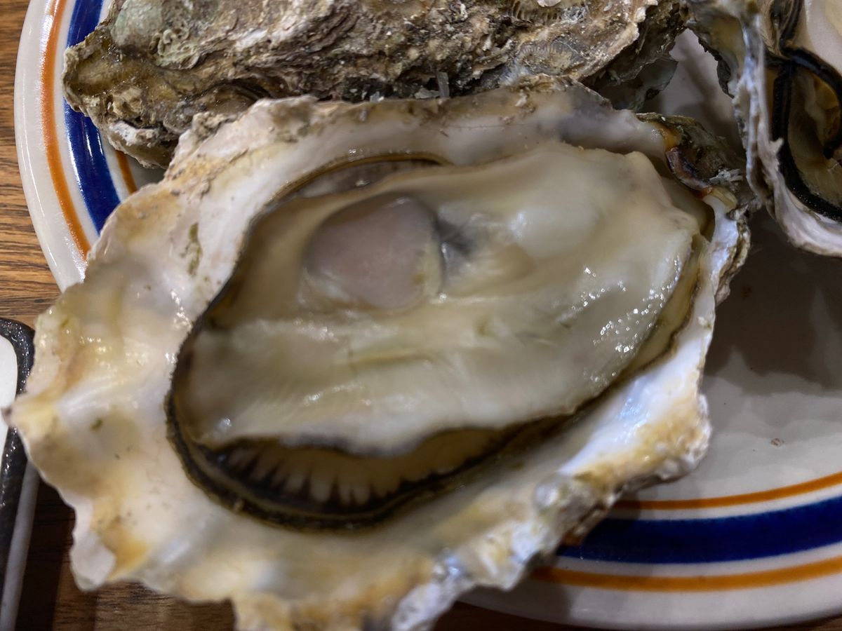 穴子と牡蠣と地ビール。
あ穴子ビールもいいし、牡蠣ビールも素敵。