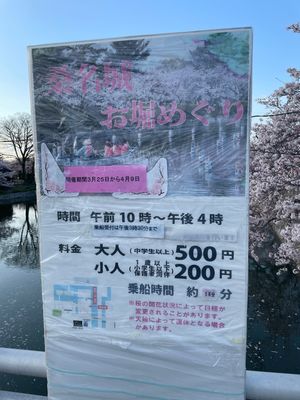 九華公園桜まつり