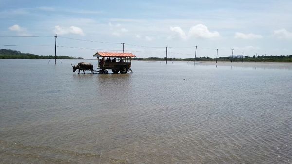 日本・沖縄県「沖縄旅行 in 小浜島」の写真