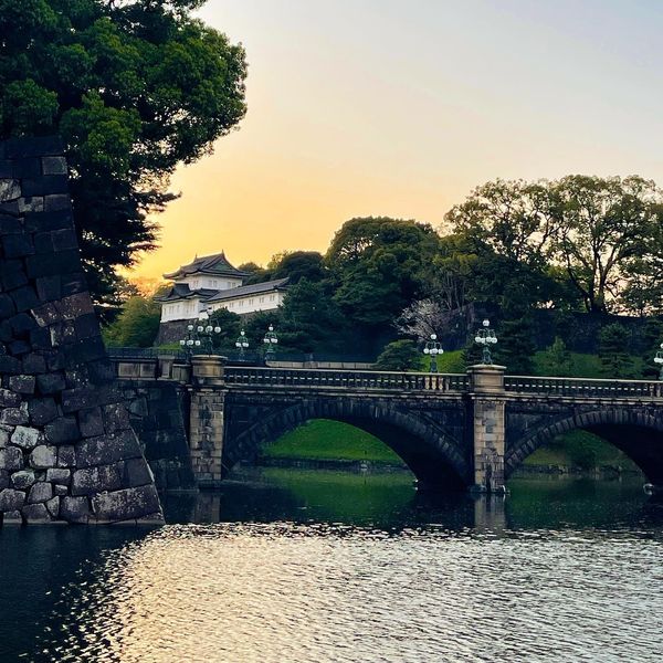 日本・東京都「Mar. 2023 🌃🌸千鳥ヶ淵」の写真
