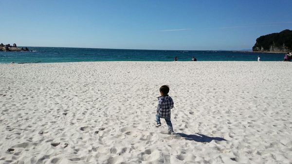 日本・アドベンチャーワールド「アドベンチャーワールド in 和歌山」の写真