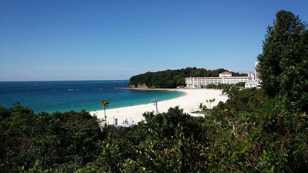 日本・アドベンチャーワールド「アドベンチャーワールド in 和歌山」の写真