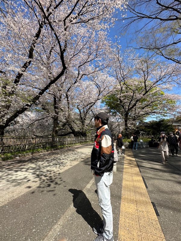 日本・名古屋城「花見 at 名古屋城」の写真