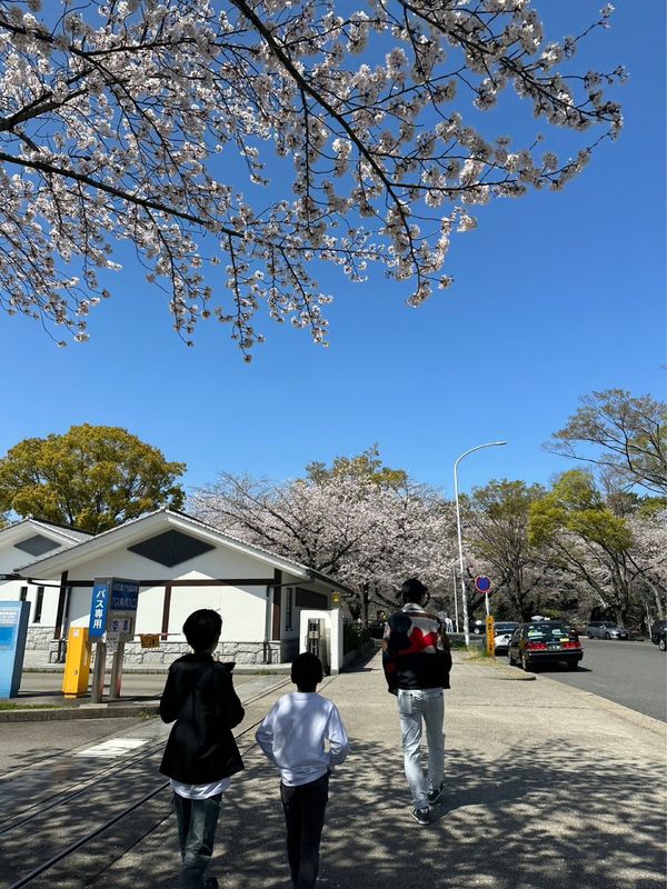 日本・名古屋城「花見 at 名古屋城」の写真