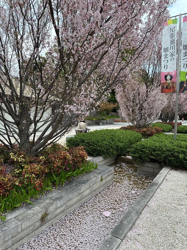 日本・愛知県「花見 at 徳川園&徳川美術館」の写真